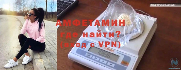дурь Осташков