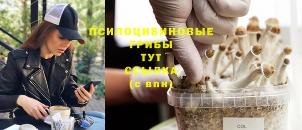 дживик Болхов