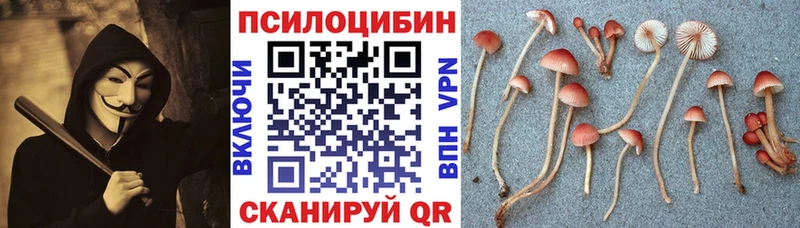 Галлюциногенные грибы GOLDEN TEACHER  где купить наркоту  Суздаль 